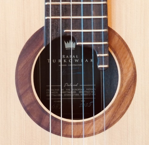 guitar